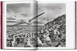 Sebastiao Salgado. Genesis. 45th Edition - мініатюра 5