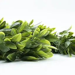 Штучна гілка Engard Schefflera 65cм (AV-02) - мініатюра 3