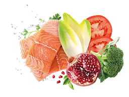 Корм Exclusion Adult Salmon для дорослих собак всіх порід з лососем 400 г - мініатюра 2