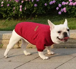 Кофта для собак та котів EcoToys Rose M ряба малинова A: 30 см B: 37 см C: 24 см 7137 - мініатюра 6