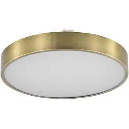 Світильник стельовий Zuma Line 5905316665484 Nadi LED 1x36W 3000K-6000K 1800Lm IP44 латунний