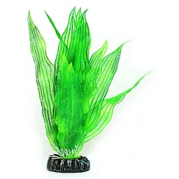 Штучна рослина Hobby Aponogeton 25 см (51578)
