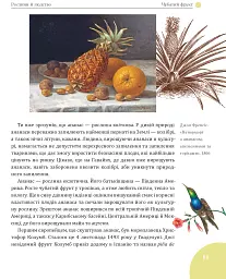 Зелений вінок планети. Рослини й людство - мініатюра 7