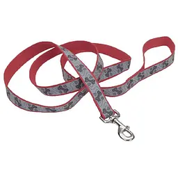 Coastal Lazer Brite Reflective Leash лазер брайт светоотражаючий повідок для собак 1.6см х 1.2м (SP46464_RPP04)