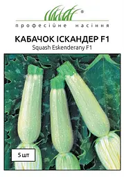 Насіння кабачка Іскандер F1 5 шт (Професійне насіння)