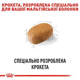 Сухий корм для собак породи мальтійська болонка Royal Canin Maltese Adult, 1,5 кг (3995015) - мініатюра 2