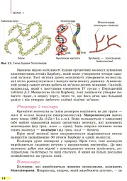 Біологія. Підручник. 9 клас - Костянтин Задорожний - мініатюра 13
