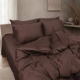 Комплект постільної білизни MirSon Сатин Satin Premium Cacao Active 2 x 160 x 220 см (2200013489818)