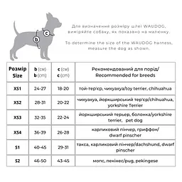 Шлея для собак м'яка Waudog ClothesПончики, з QR паспортом, XS4, 36-39х26-28 см - мініатюра 4