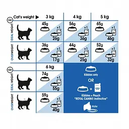 Сухий корм для котів Royal Canin Indoor 27, що живуть у приміщенні 2 кг 25290209 - мініатюра 3