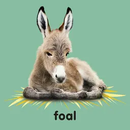 Baby Touch and Feel Bible Animals - DK - мініатюра 3