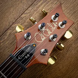 Електрогітара PRS Custom 24 Natural (162690) - мініатюра 6