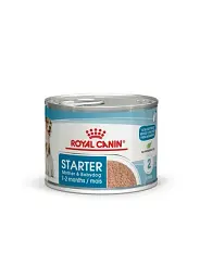 Консервований корм Royal Canin Starter Mousse для вагітних собак та цуценят, 12 шт. по 195 г