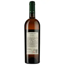 Вино Friends' Wine Qvevris Tibanuri, біле, сухе, 12,5%, 0,75 л (48293) - мініатюра 2