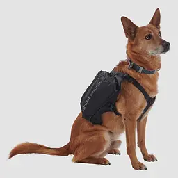 Рюкзак для собак Ultimate Direction Dog Vest V2 L Чорний-Сірий - мініатюра 5