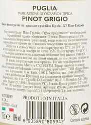 Вино 11.11.11. Puglia Pinot Grigio IGT, біле, сухе, 0,75 л - мініатюра 3