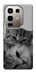 TPU чохол Demsky Grey cats для Infinix Note 50 Pro 4G