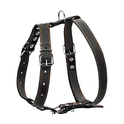Шлея для собак Collar одинарна для середніх порід Ш 25 мм А:49-68 см В:68-80 см чорна (06381) - мініатюра 2