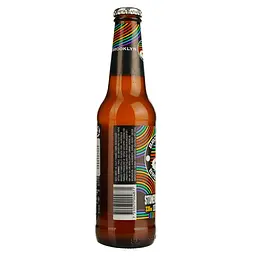 Пиво Brooklyn Brewery The Stonewall Inn IPA світле 4.6% 0.33 мл - мініатюра 4
