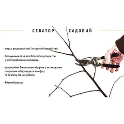 Секатор Alloid 250 мм (PS-22250) - мініатюра 3