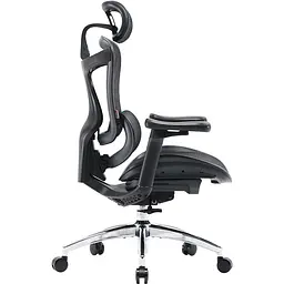 Крісло офісне Sihoo Doro C300L Mesh Black (DORO-C300L-A3-101) - мініатюра 4