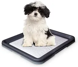 Туалет для собак Nobby Doggy Trainer 48х41х3, 5 см 67150