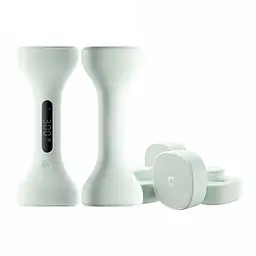 Розумні гантелі Xiaomi MiJia Intelligent Dumbbell світло-зелений