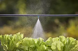 Мікронасадка Gardena Micro-Drip-System розпилююча до 1 м, 5 шт (13323-20) - мініатюра 2