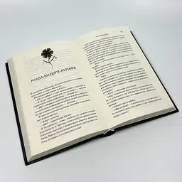 Буря і лють - Дженніфер Л. Арментраут | Клуб Сімейного Дозвілля, книга українською, нова, тверда - мініатюра 3