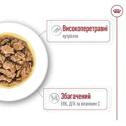 Вологий корм для дорослих собак мініатюрних розмірів Royal Canin X-Small Adult шматочки в соусі 85 г - мініатюра 3