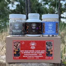 Курс Лісовик Sugar Control Баланс цукру та зниження тяги до солодкого на 2 місяці 360 капсул - мініатюра 4