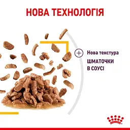Вологий корм для дорослих котів Royal Canin Sensory Taste Gravy, шматочки в соусі, 85 г - мініатюра 4