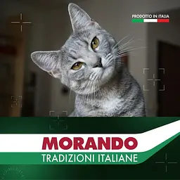 Вологий корм для котів Morando Tradizioni шматочки у соусі з тунцем, томатами та стручковою квасолею 405 г - мініатюра 6