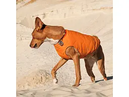 Жилет для тварин Pet Fashion E.Vest М помаранчевий (4823082424313) - мініатюра 4