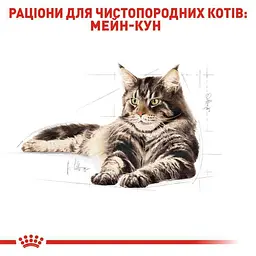 Сухий корм для дорослих котів мейн-кун Royal Canin Maine Coon Adult, з м'ясом птиці, 0,4 кг - мініатюра 3