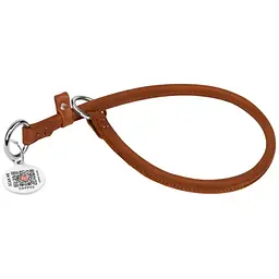 Нашийник-зашморг Waudog Soft ривковий, круглий, з QR паспортом, 50х1 см, коричневий