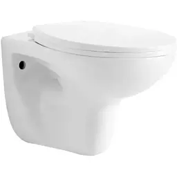 Унітаз підвісний RJ Flip Rimless поліпропілен сидіння slow-closing white RJCEJ0005, Білий