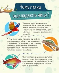 Чомусики. Тварини - Ганна Булгакова - мініатюра 2