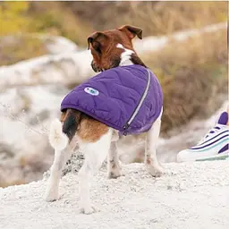 Жилет Pet Fashion E.Vest для собак, розмір XS, фіолетовий - мініатюра 5
