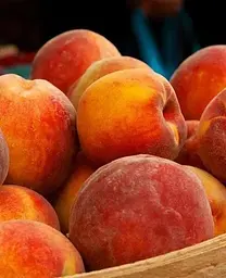 Саджанець Agro-Market Персик Валіант (літній сорт, середній термін дозрівання) (36764) 1 шт. в упаковці - мініатюра 2