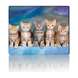 Килимок для мишки Voltronic Five Cats (YT-CAT30)