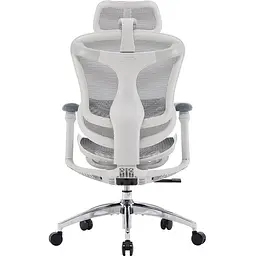 Крісло офісне Sihoo Doro C300L Mesh White (DORO-C300L-A3-102) - мініатюра 2