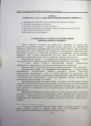 Кримінальний процес. Підручник - мініатюра 12