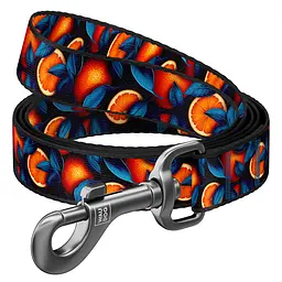 Повідець для собак нейлоновий Waudog Nylon "Апельсини" M Ш 20 мм Д 122 см