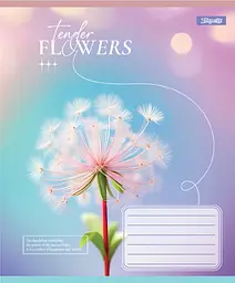 Упаковка зашитів 1В Tender Flowers учнівський загальний 10 шт./60 лін. (768083) - мініатюра 3