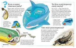 Де, що і коли? - - мініатюра 4