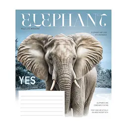 Зошит Школярик Fauna magazine 12 аркушів клітинка (012-3428K), в асортименті - мініатюра 3