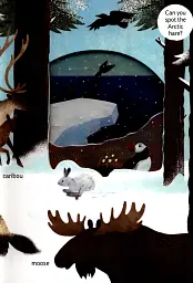 Look Closer into the Arctic - мініатюра 3