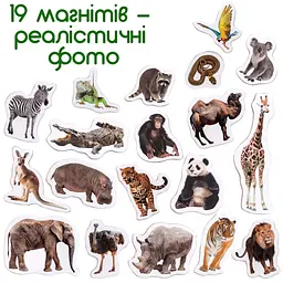 Набір магнітів Зоо 19шт ML4031-02 EN - мініатюра 2