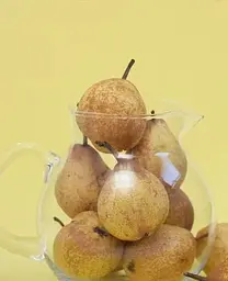 Саджанець Agro-Market Груша Стрийська (зимовий сорт, пізній термін дозрівання) (39895) 1 шт. в упаковці - мініатюра 2